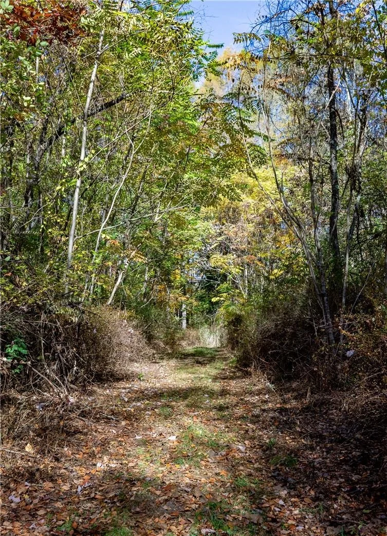 Photo of Lot #2 Dodge Road
