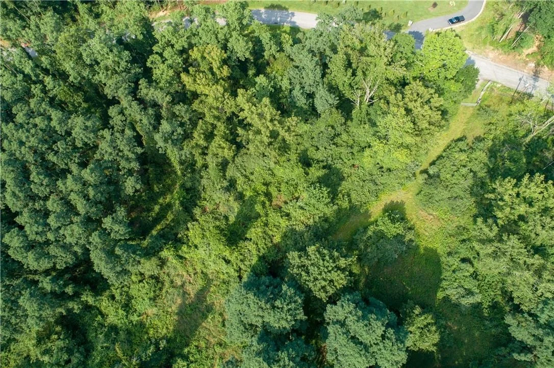 Photo of 8 Ravine Road