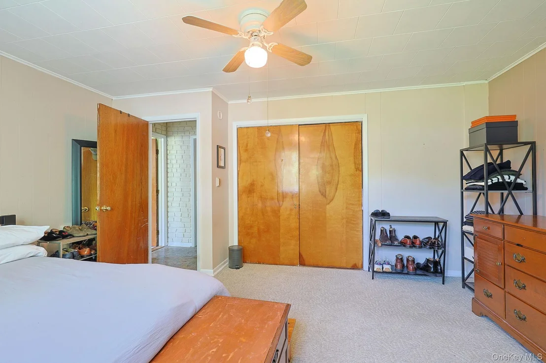 Photo of 37 Algernon Street