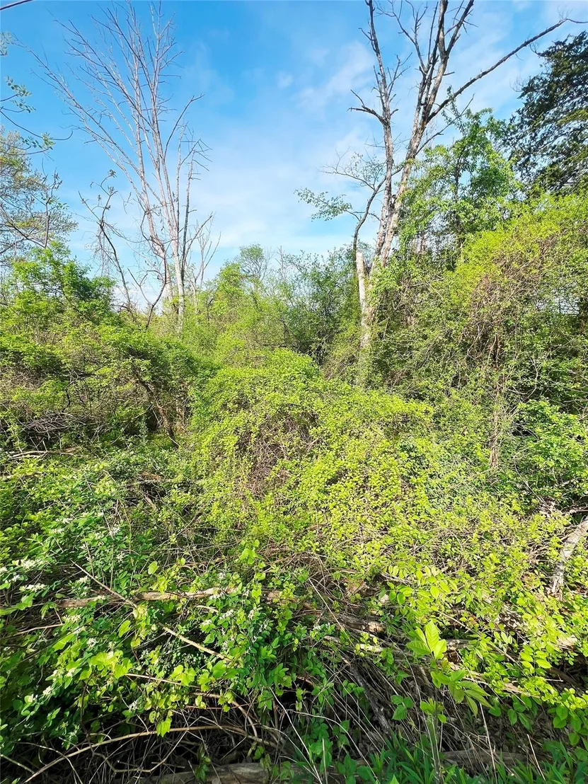 Photo of 160 Tommy Trail
