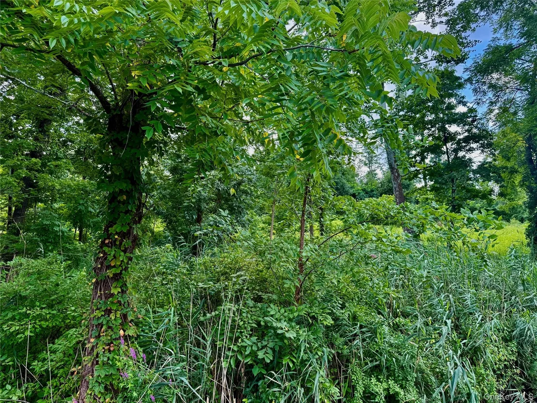 Photo of 26 Fishkill Hook Road