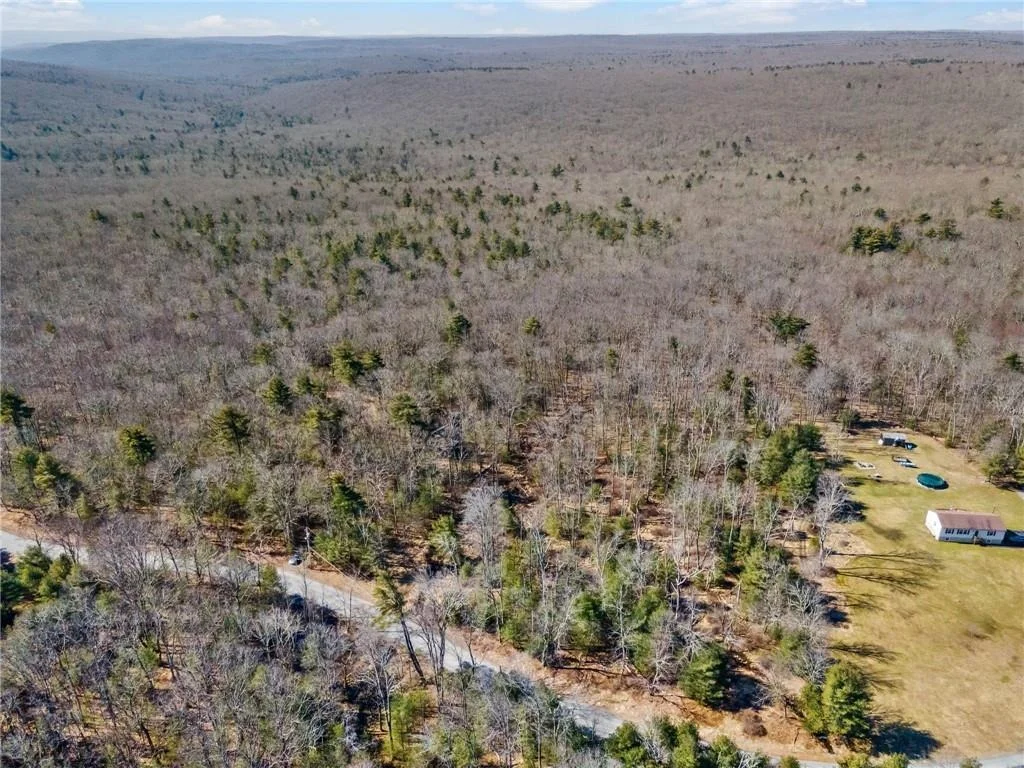 Photo of Pine Kill Road