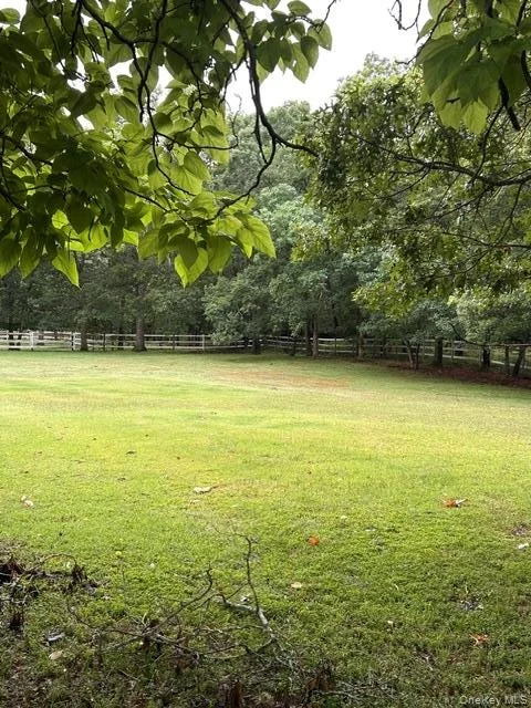 Photo of 4 Conservation Circus