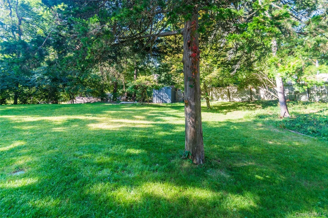 Photo of 11 Tree Top Lane