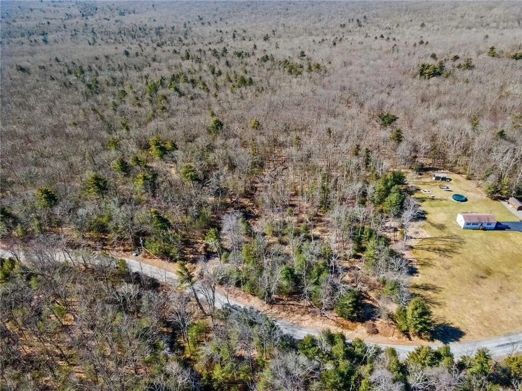 Photo of Pine Kill Road
