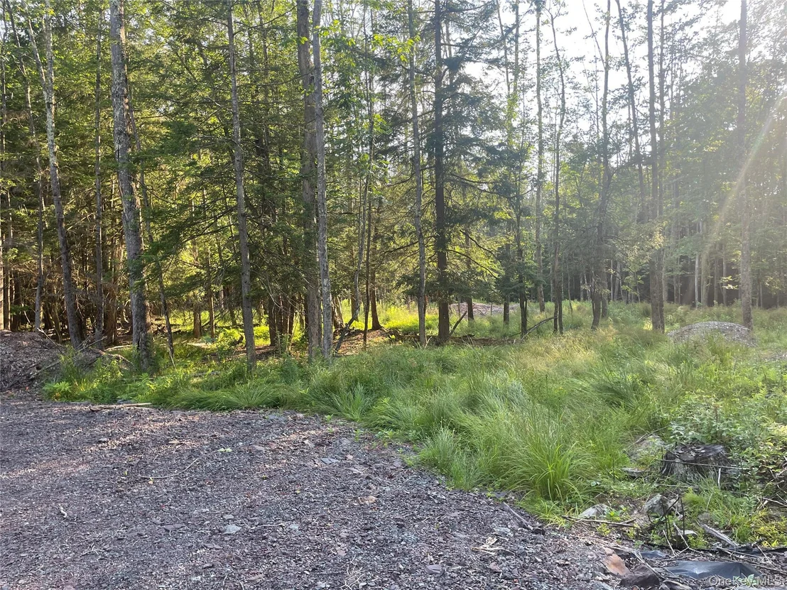 Photo of TBD Lot 8 Boulder Brook Road