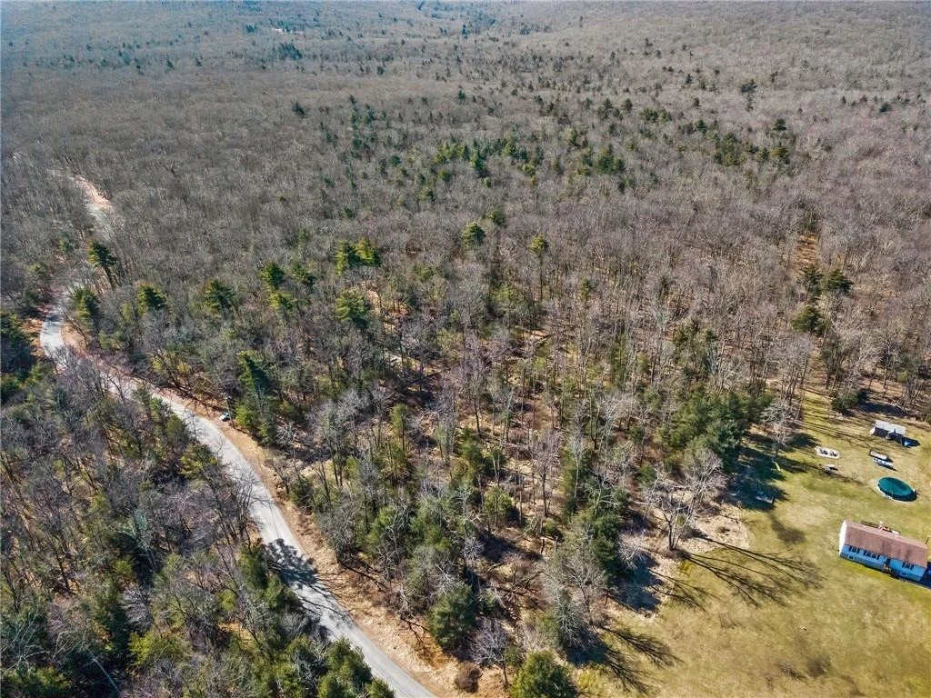 Photo of Pine Kill Road