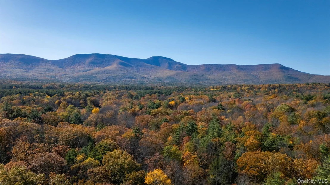 Photo of 367 South Road
