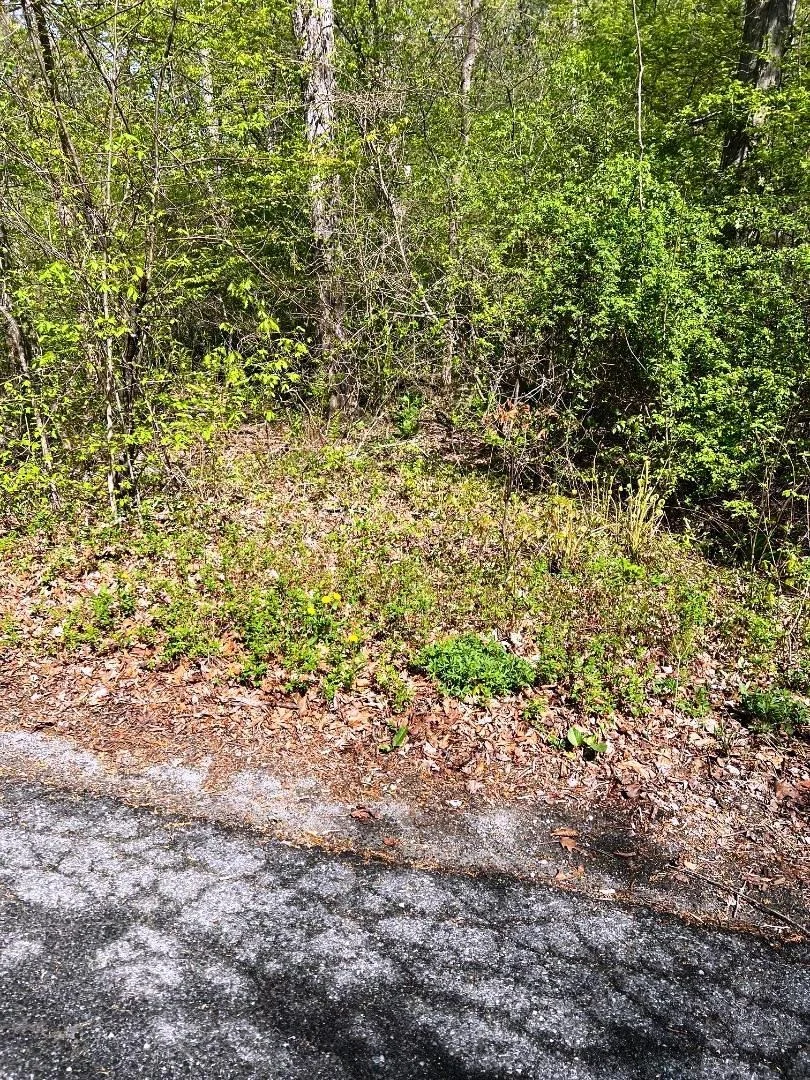 Photo of Lot 73 Brookside Road