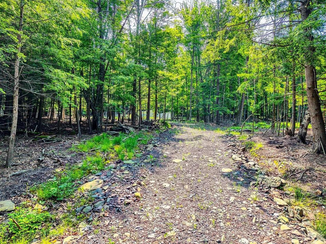 Photo of TBD Boulder Brook lot 13B Road