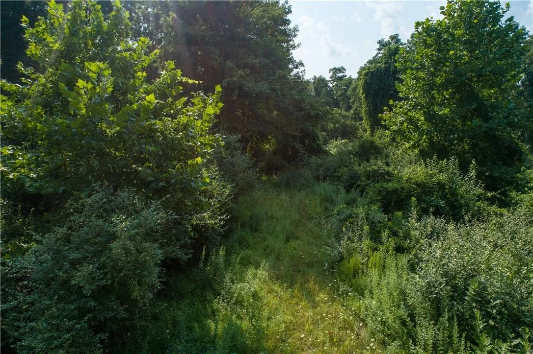 Photo of 8 Ravine Road