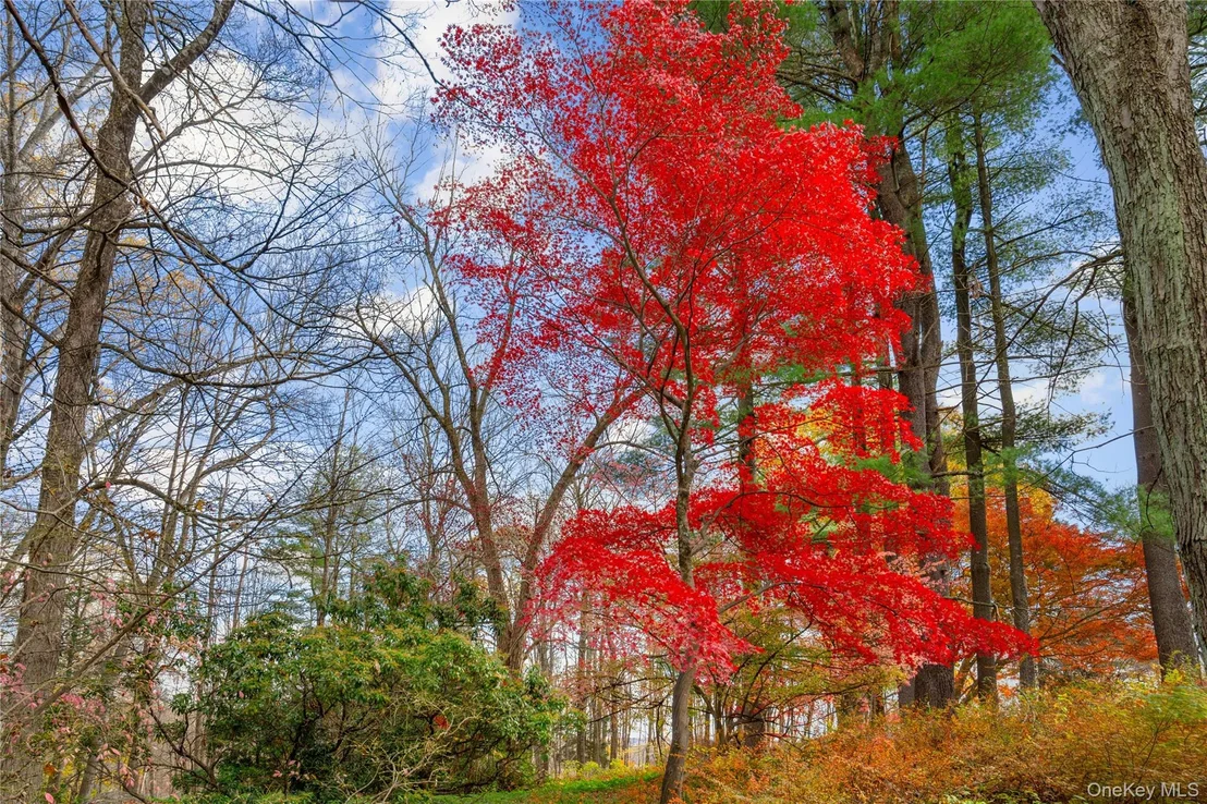 Photo of 115 Old Roaring Brook Road