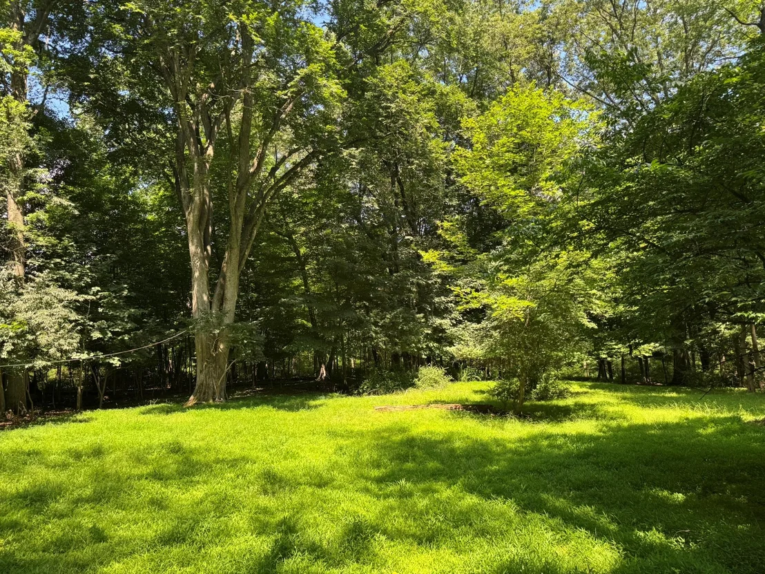 Photo of 268 Cherry Lane