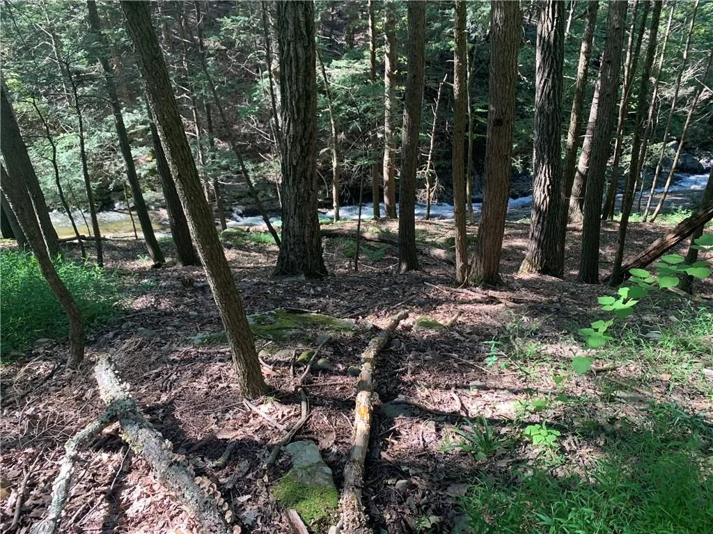 Photo of 74 Mossy Brook Road