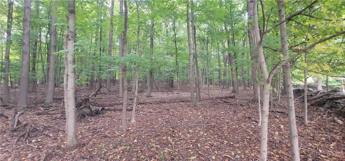 Photo of Lot 1 Bethlehem Road