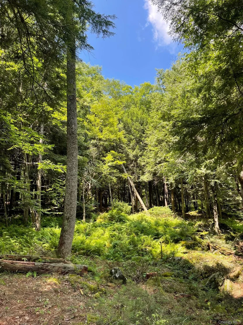 Photo of Lot 92 Mathias Weiden Drive