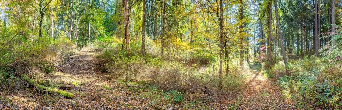 Photo of Lot #2 Dodge Road