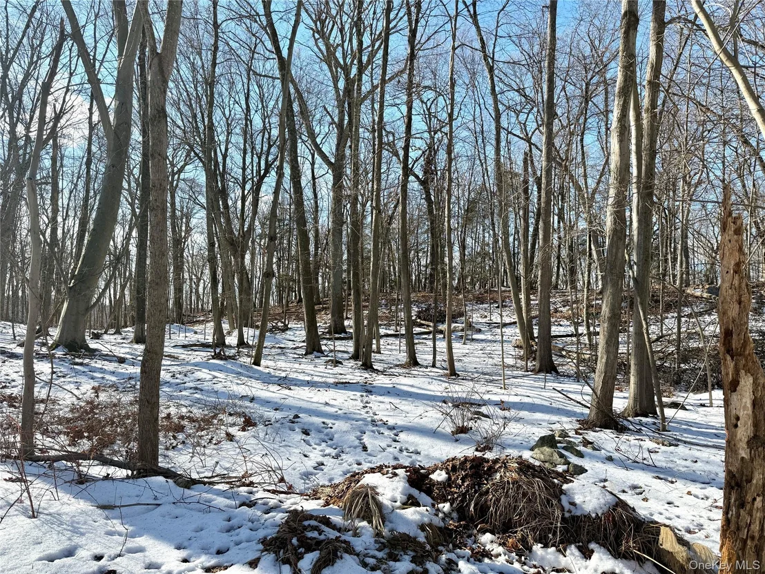 Photo of 8 Maple Ridge Trail