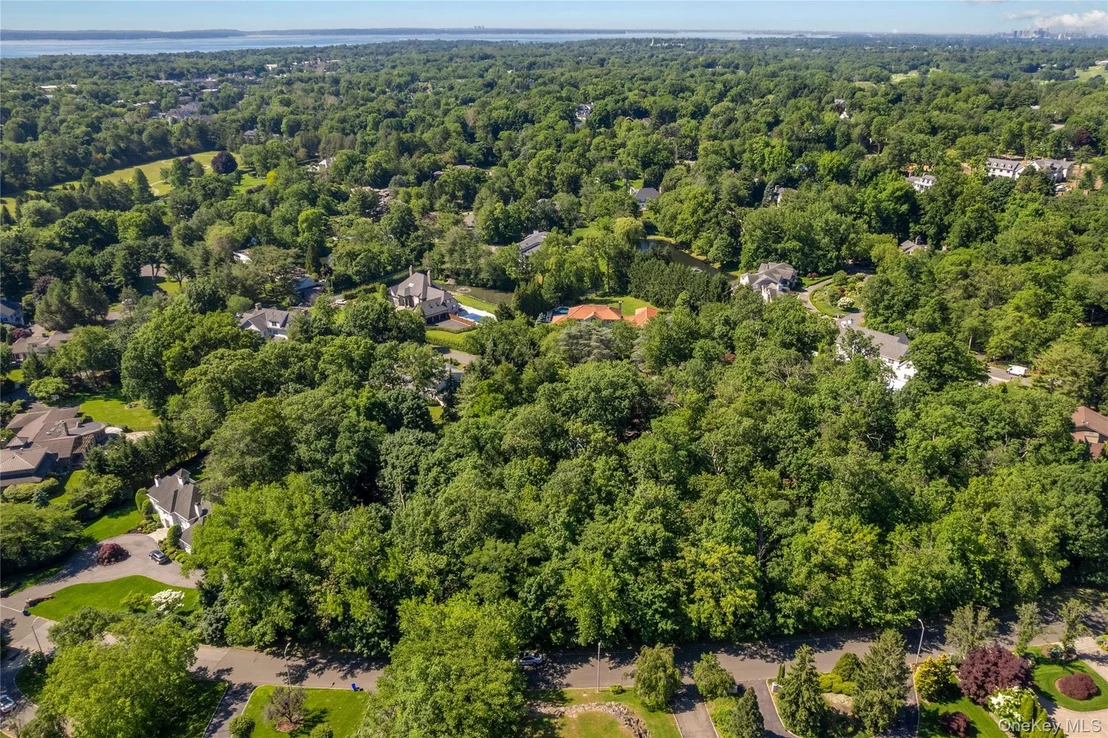 Photo of 20 Mt. Holly