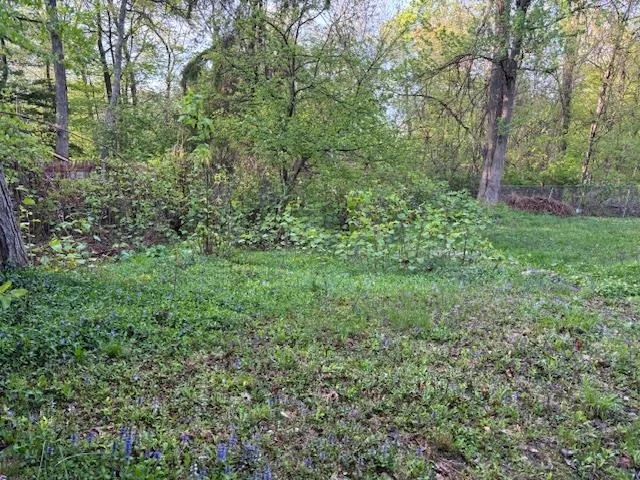 Photo of 16 Stanton Trail