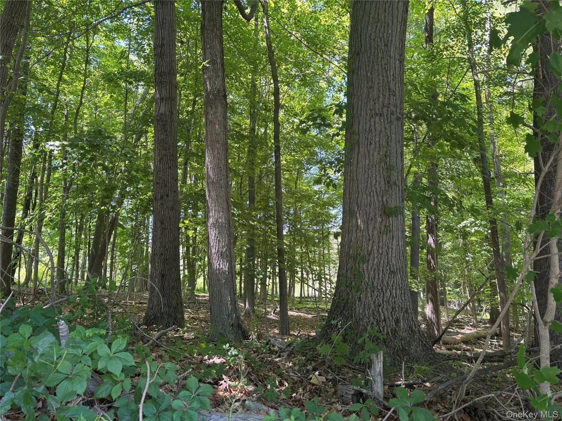 Photo of 0 Smith Road
