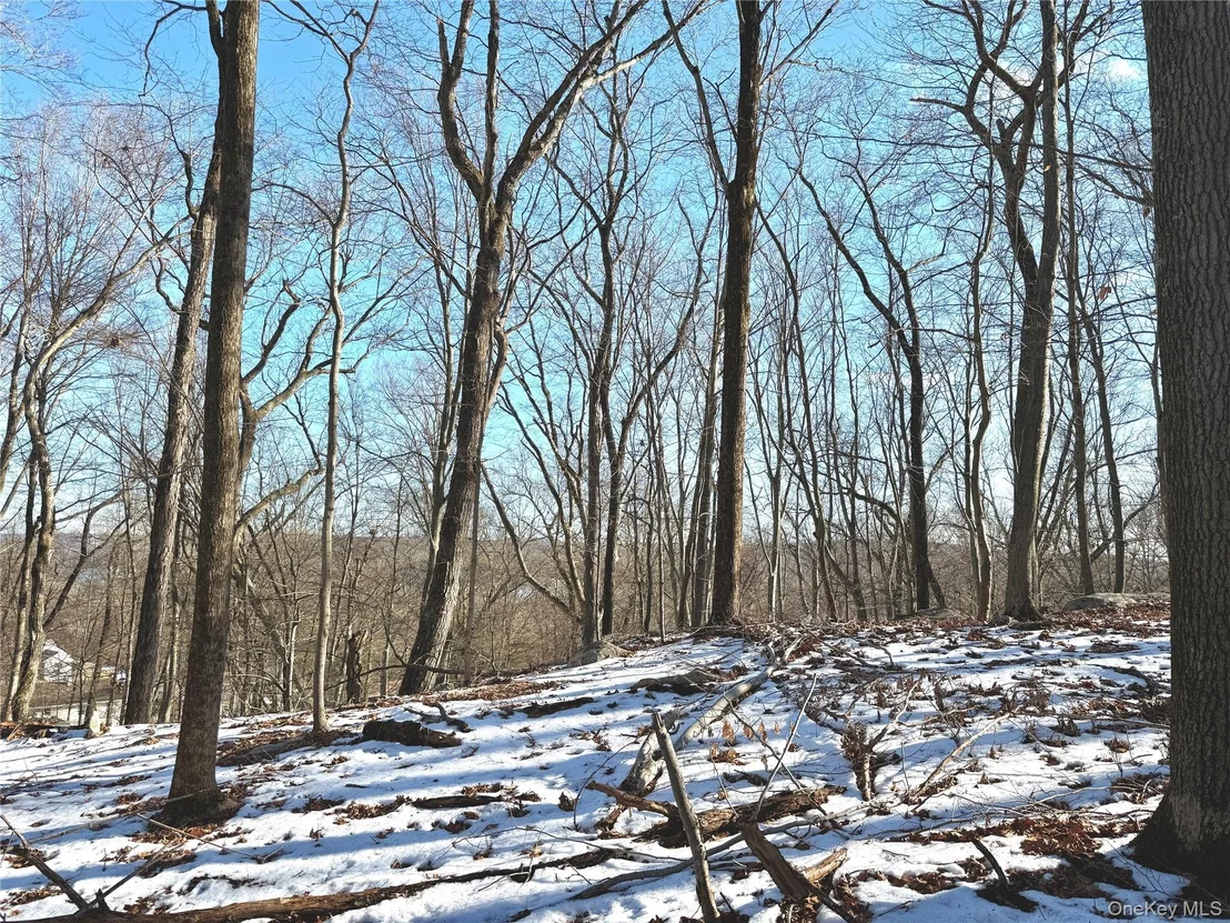 Photo of 8 Maple Ridge Trail