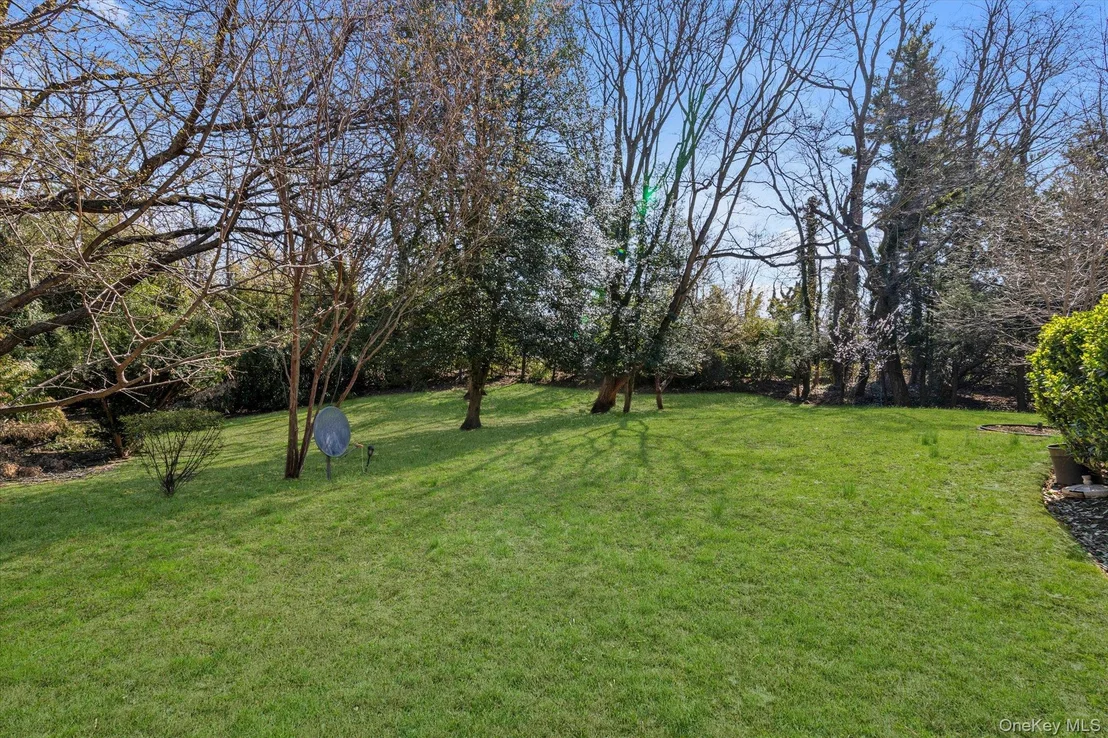 Photo of 49 The Birches