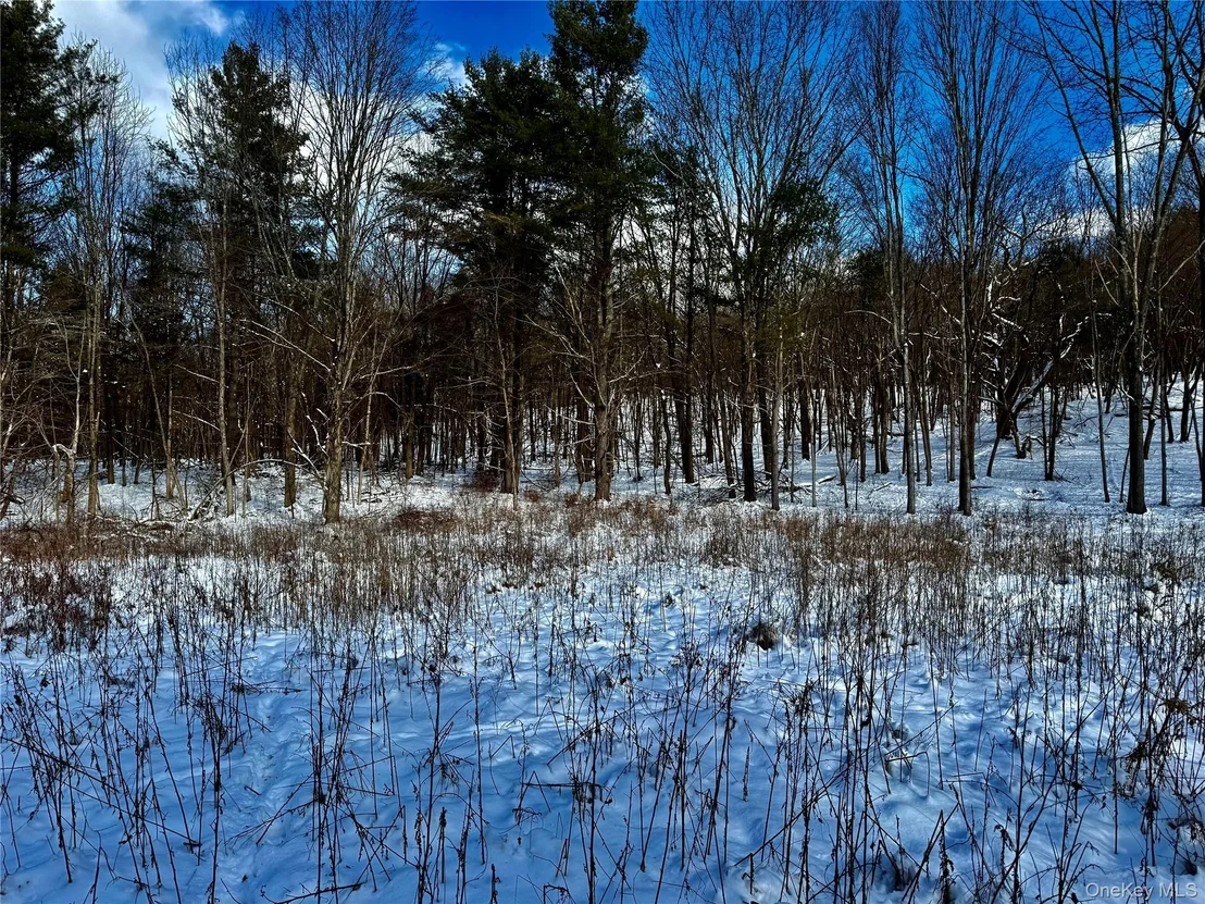 Photo of 266 Pitts Road