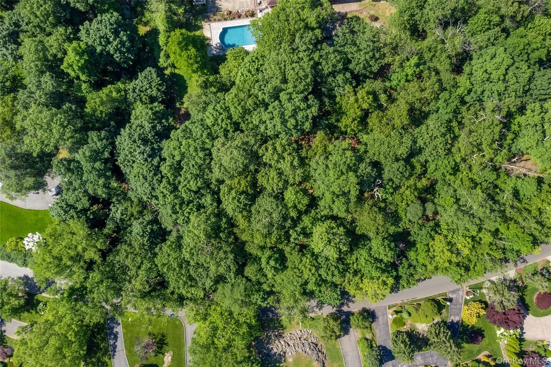 Photo of 20 Mt. Holly
