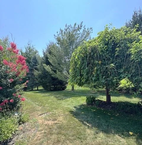 Photo of 54 Holly Loop