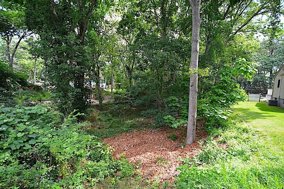 Photo of 34 Wards Path