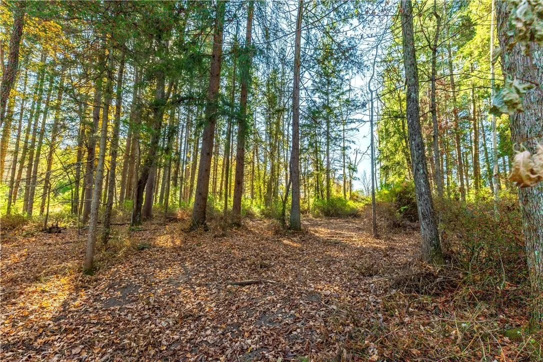 Photo of Lot #2 Dodge Road