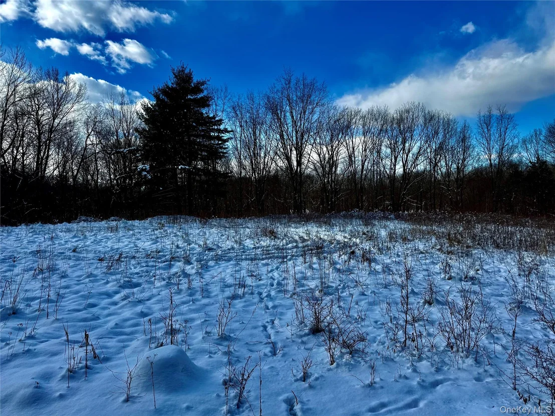 Photo of 266 Pitts Road