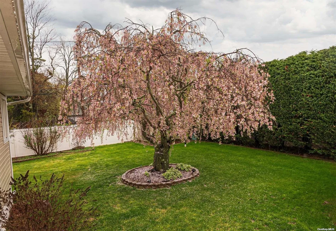 Photo of 350 Aster Road