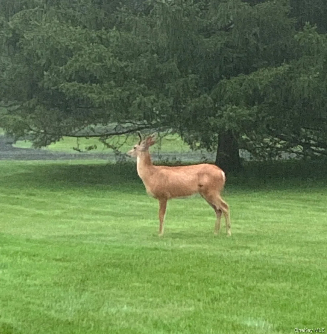 Photo of 29 Deer Brook Drive