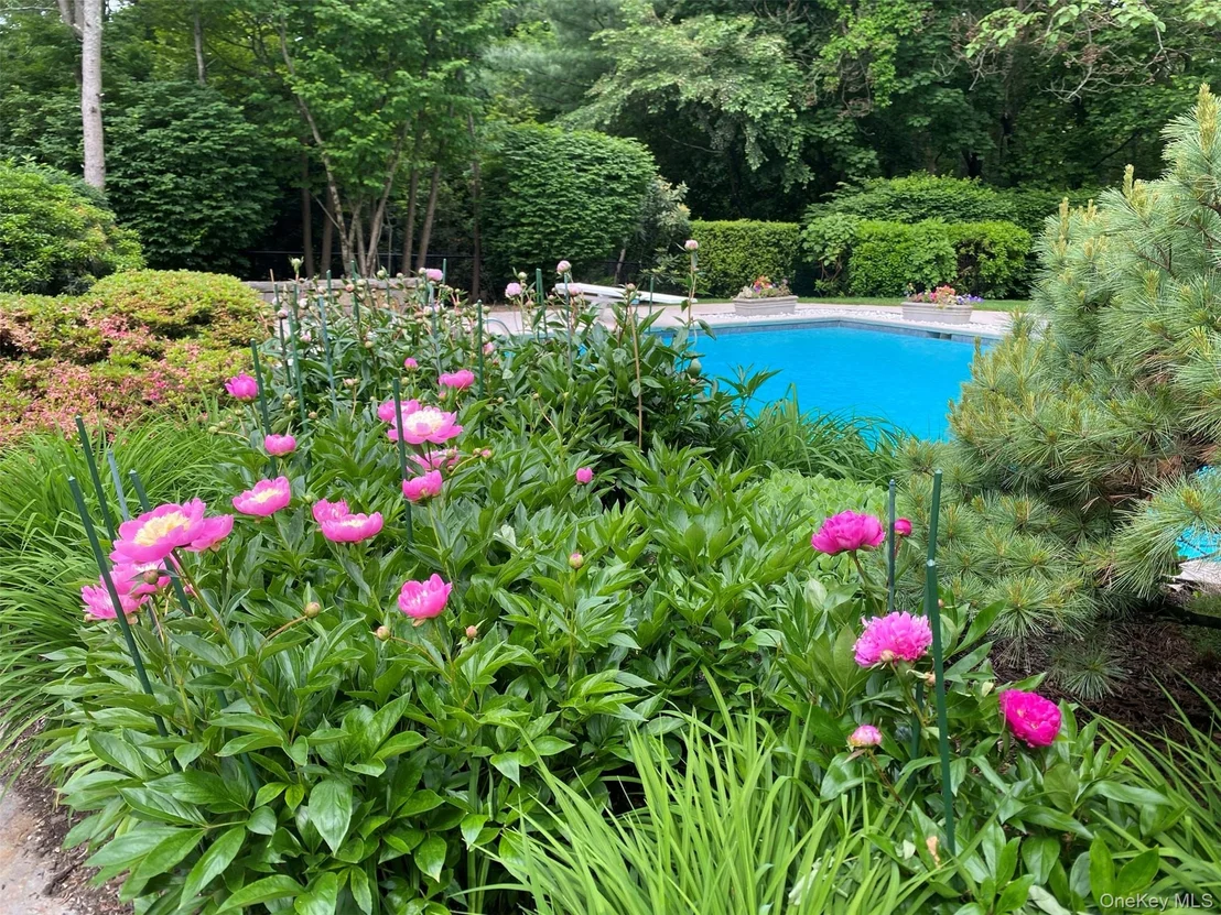 Photo of 10 Cypress Point Drive