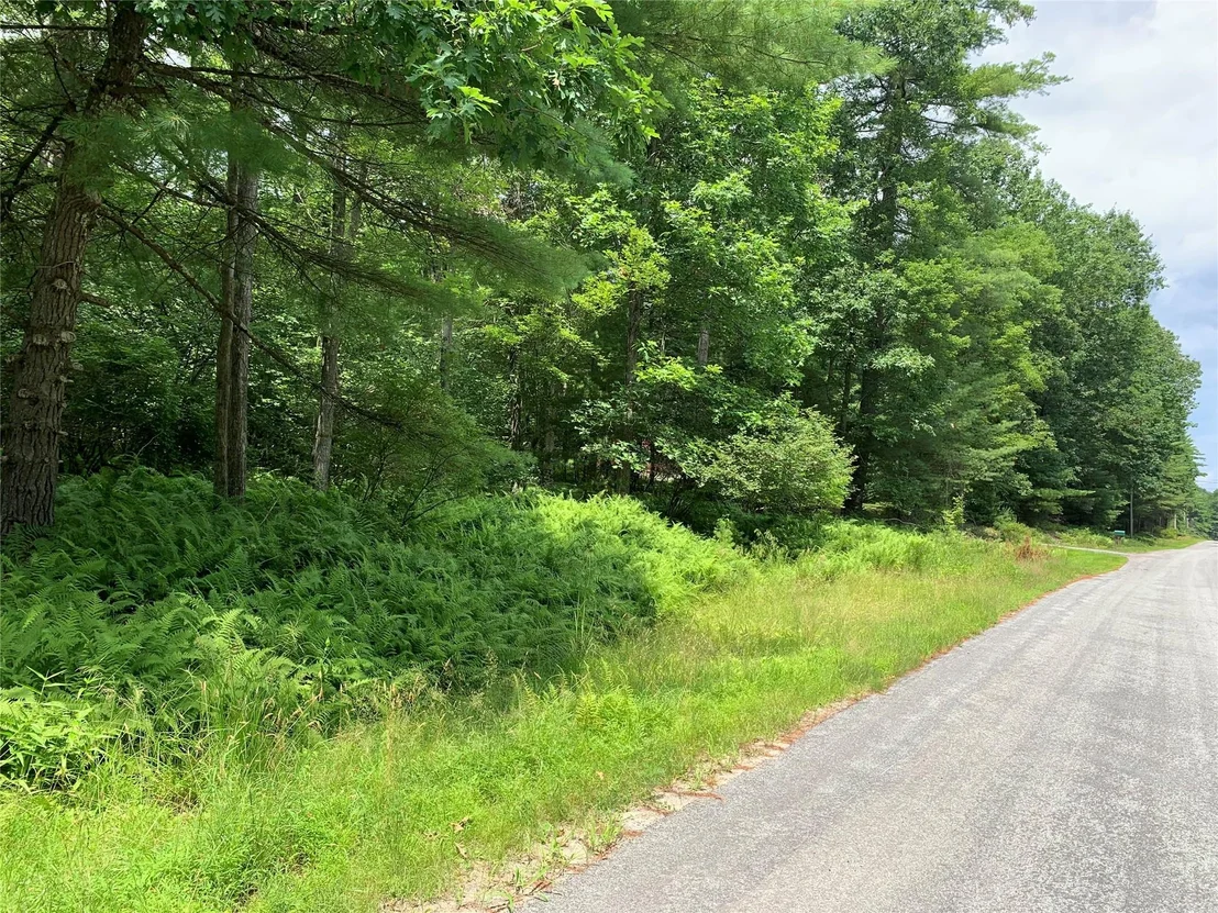 Photo of Lot 6 Francis Drive