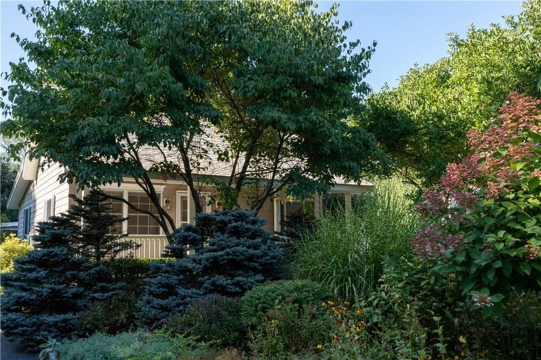 Photo of 55 Moffat Road