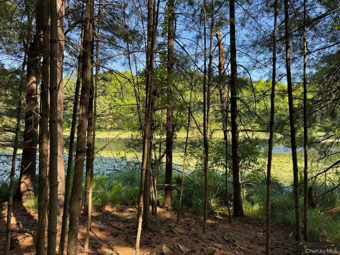Photo of 177 Webber Road