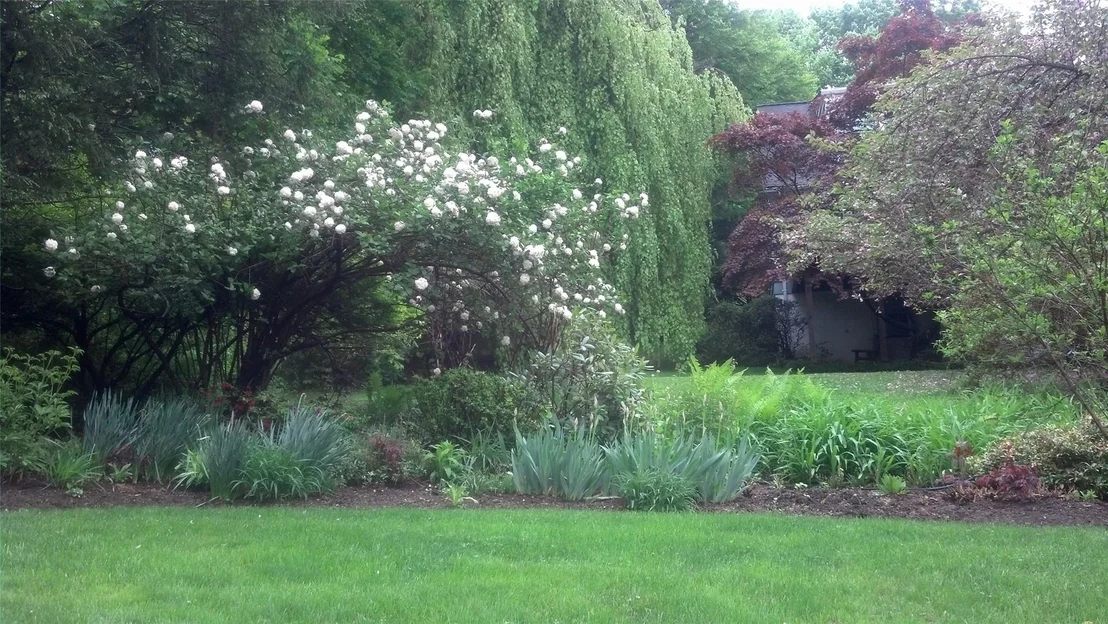 Photo of 30 Birch Way