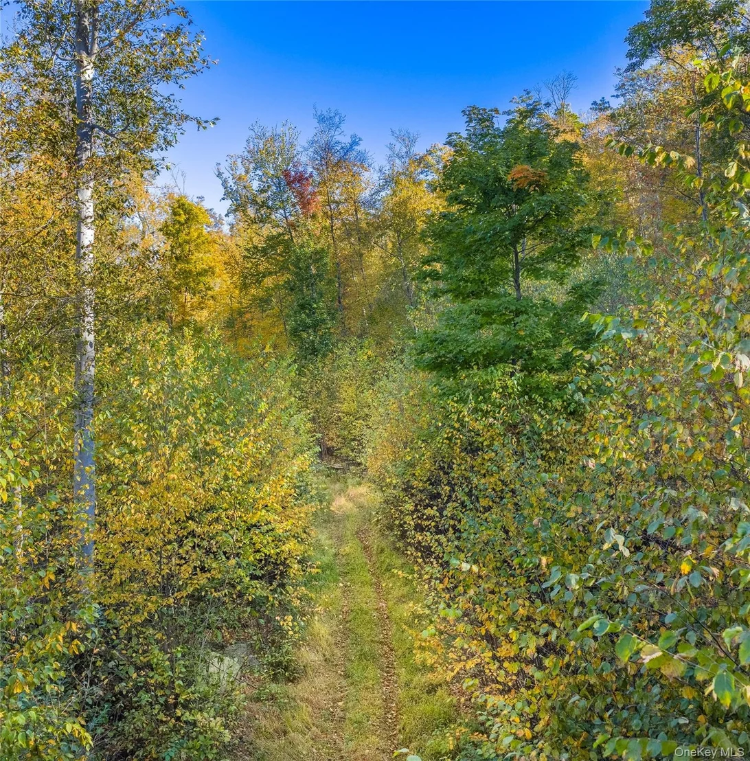 Photo of 12 Deverly Road
