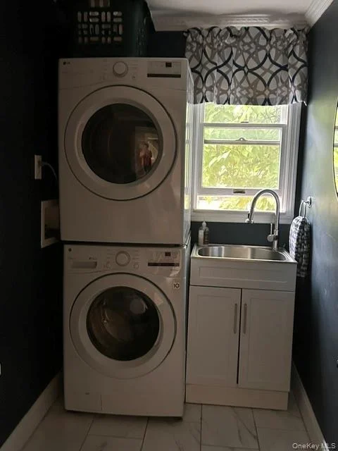 Photo of 4 Conservation Circus