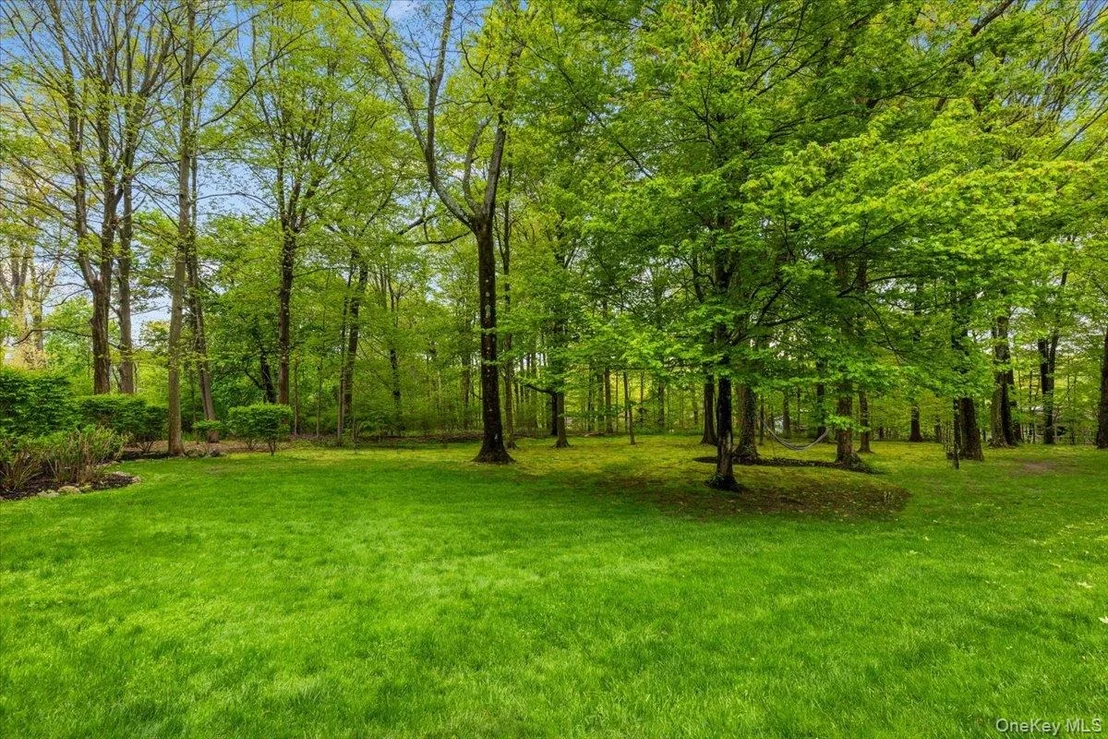 Photo of 37 Talcott Road