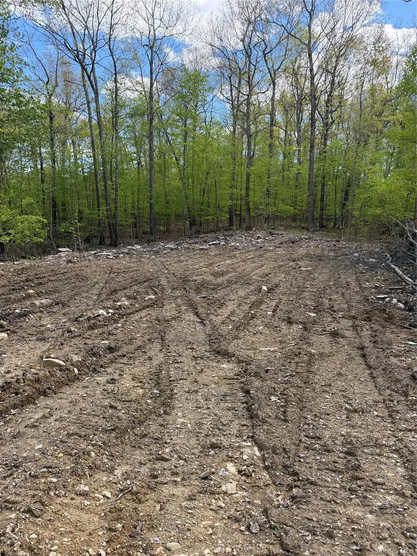 Photo of 748 State Route 44 55
