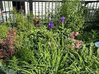 Photo of 31 Wilson Boulevard