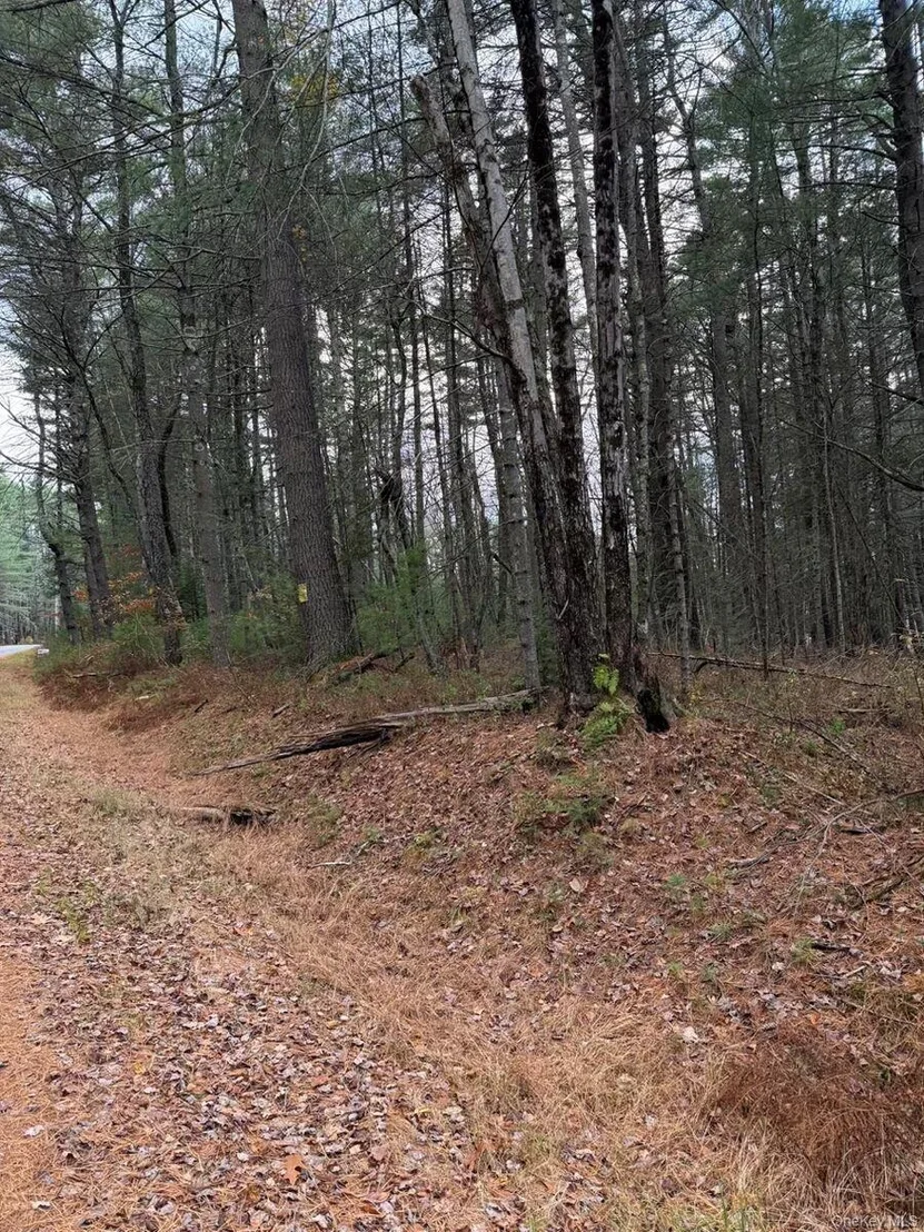 Photo of 0 Puckyhuddle Road