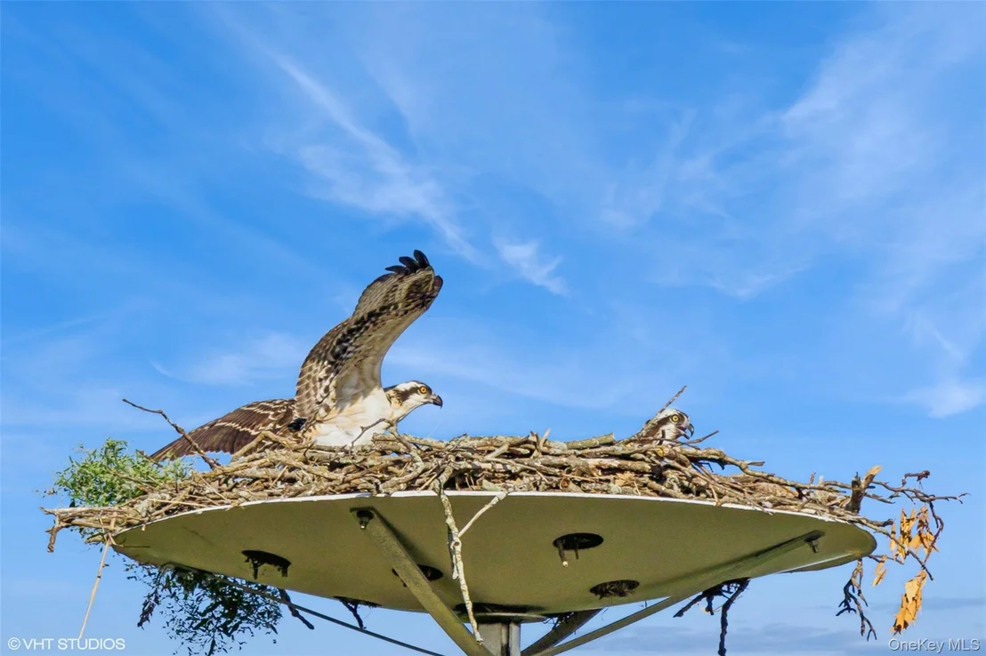 Photo of 2 Hawk Drive