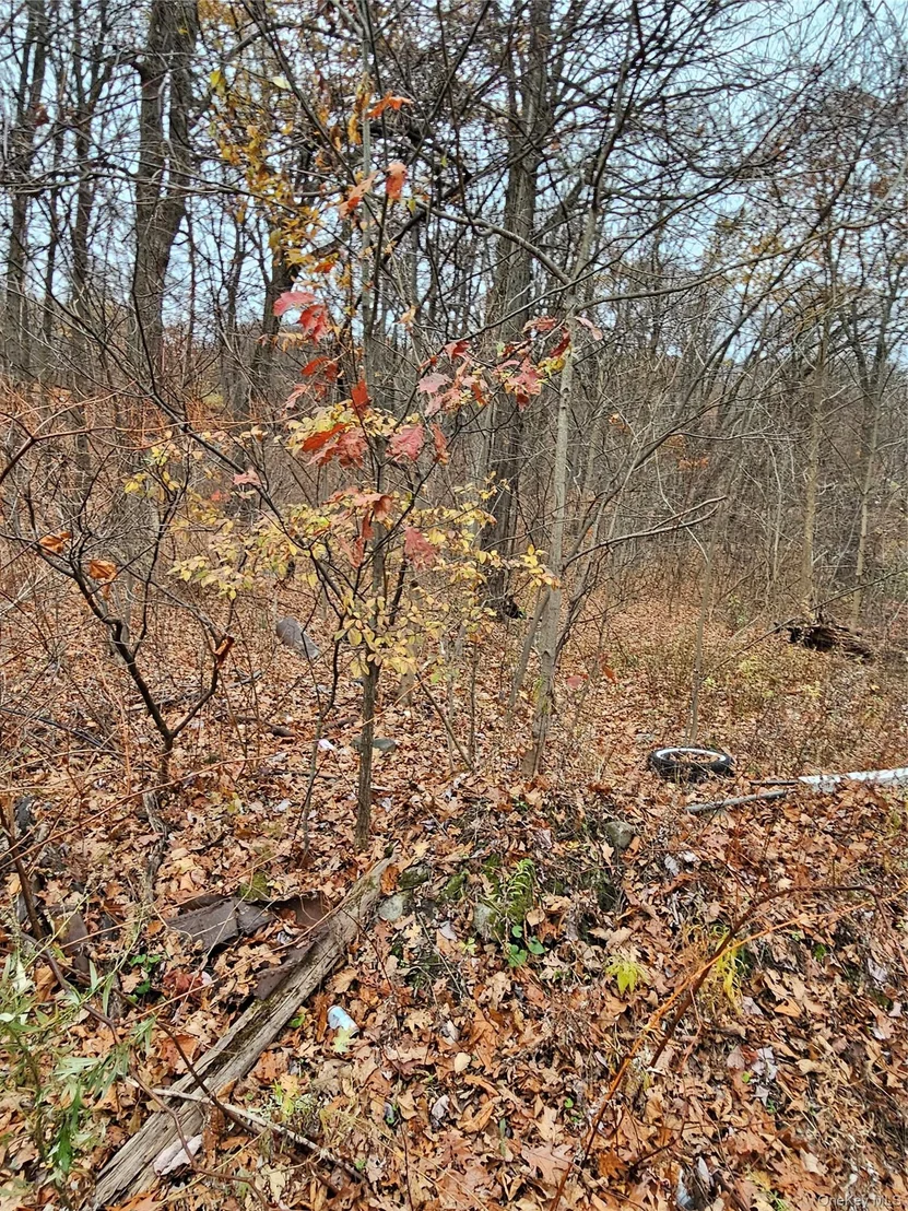 Photo of 73 Sylvan Trail
