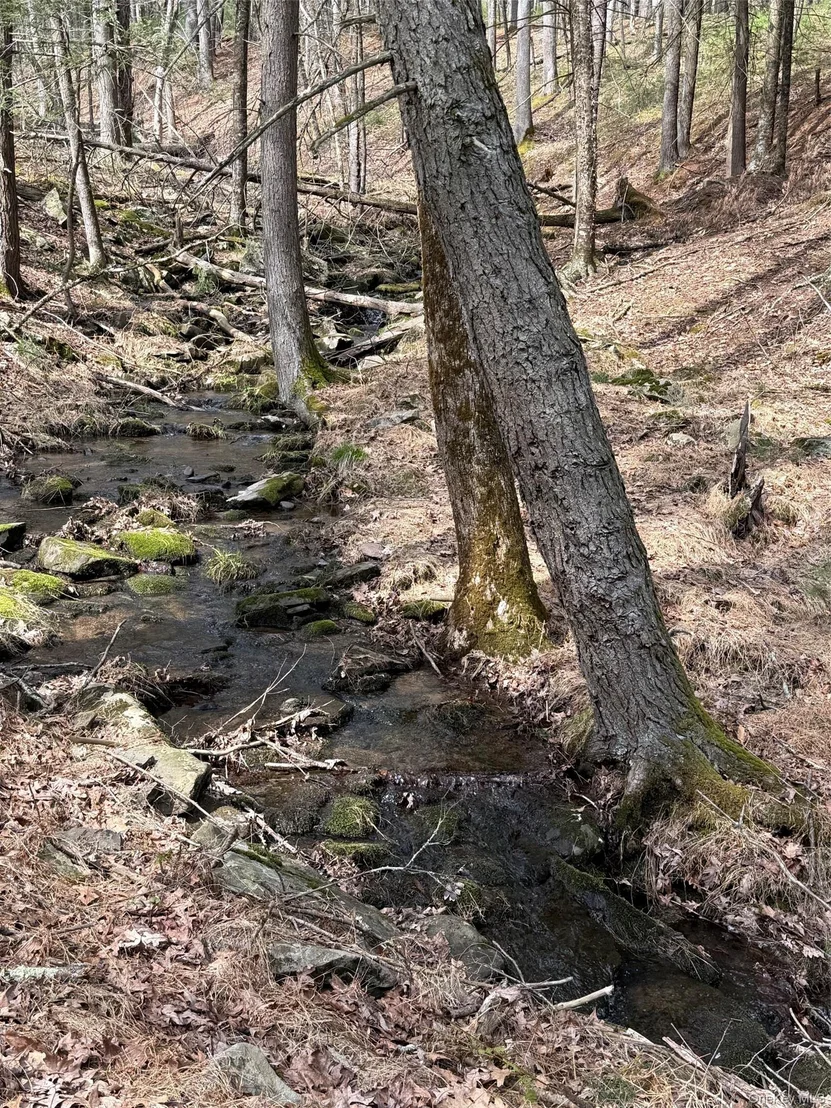Photo of 4838 State Route 97