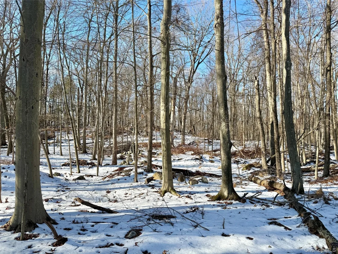 Photo of 8 Maple Ridge Trail